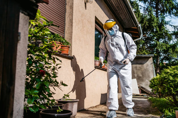 Best Ant Control Services  in Forney, TX