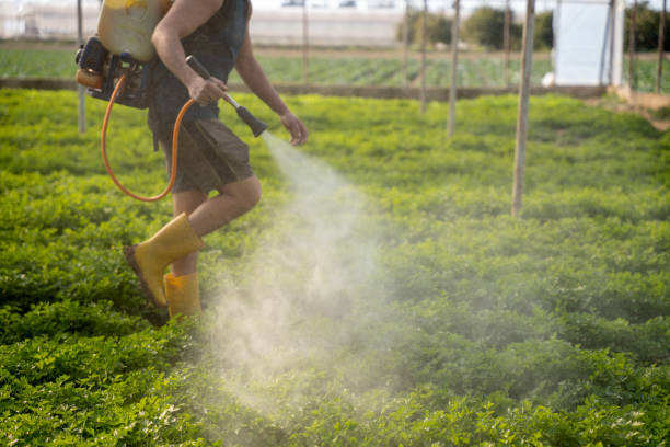Best Best Pest Control Companies  in Forney, TX