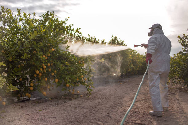 Best Wildlife Control Services  in Forney, TX