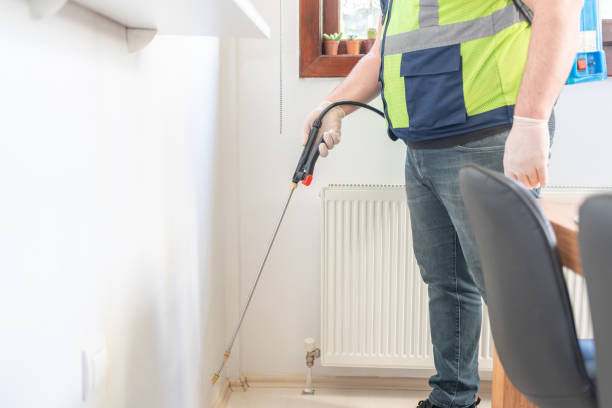Professional Pest Control in Forney, TX
