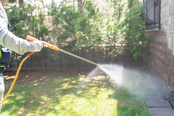 Best Pest Inspection Near Me  in Forney, TX