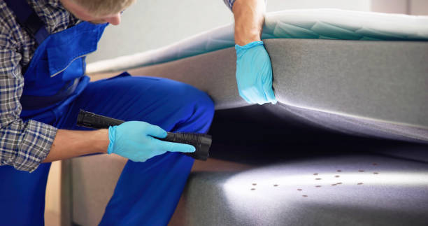 Best Cockroach Control Services  in Forney, TX